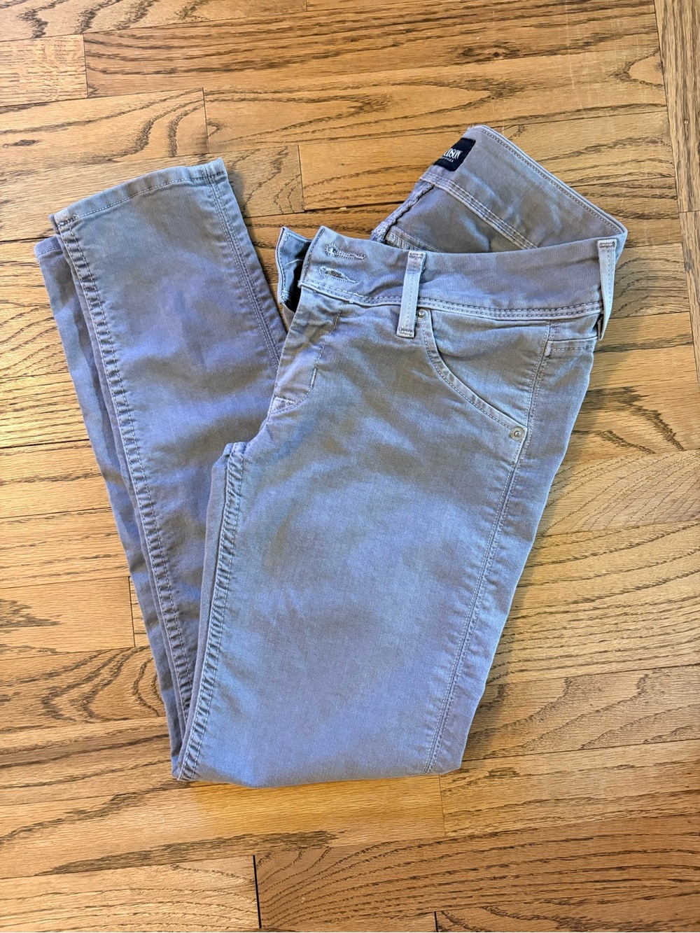 Hudson Jeans Women’s Skinny Jeans in Light Gray